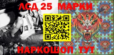 шишки Будённовск