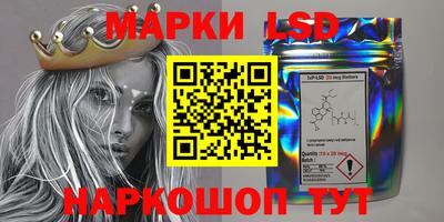 шишки Будённовск