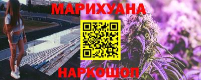 шишки Будённовск