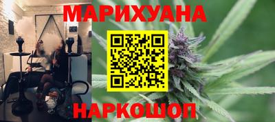 шишки Будённовск