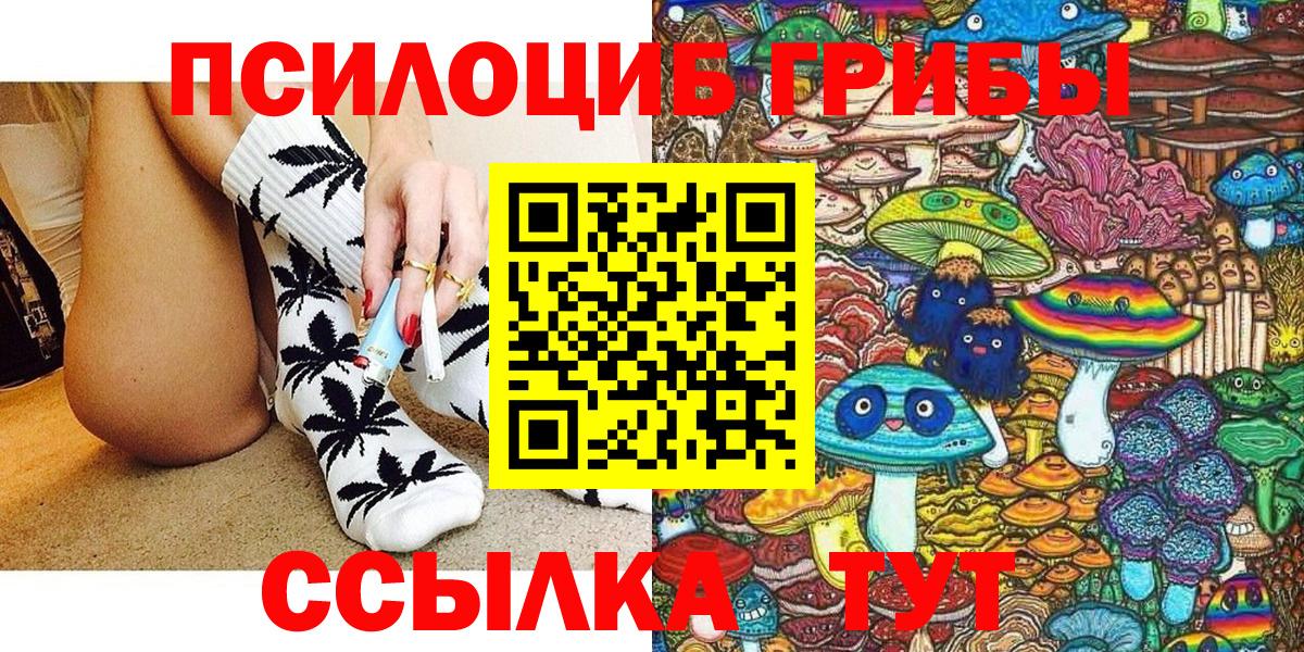 Псилоцибиновые грибы Psilocybe Вологда